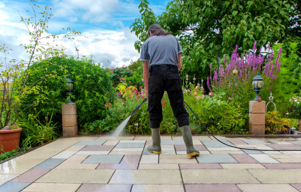 Professional Pressure Washing Services in Lake Stevens, WA
